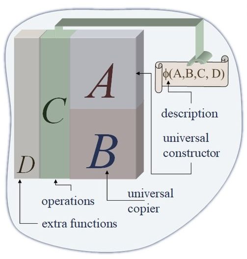 Stylized schematic of a “universal constructor.” Four adjoining vertical blocks form a single rectangular stack: a tall grey block labeled A sits above a shorter grey-brown block labeled B on the right; to their left is a green block labeled C; and on the far left a narrow beige strip labeled D. A curled parchment scroll at the upper right, bearing the formula “φ(A, B, C, D),” feeds into block A, signifying that the constructor receives the description of itself.